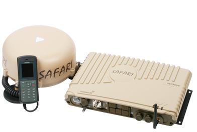 safari